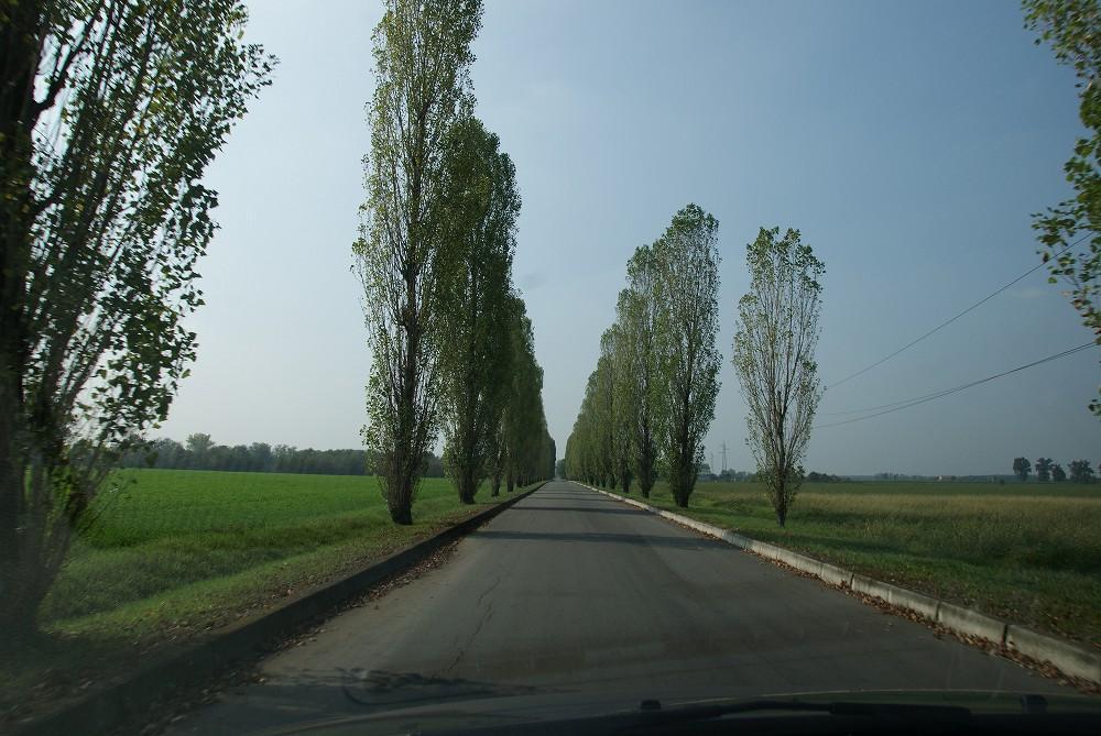 DSC03647.jpg