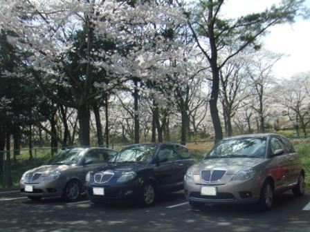 カーくる9.jpg