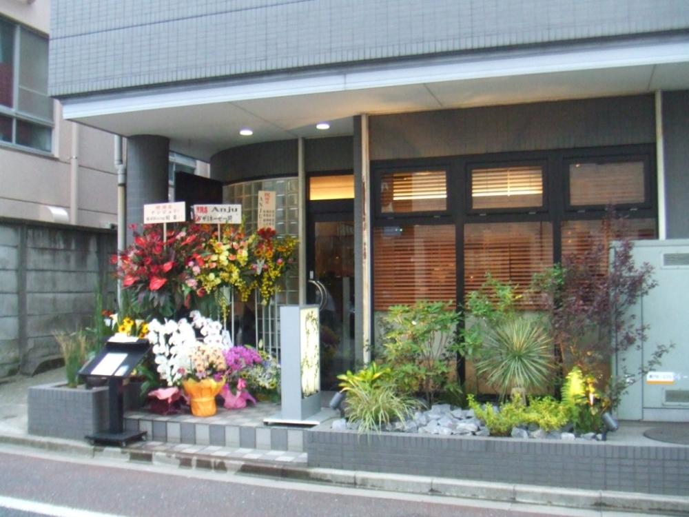 anju1.jpg