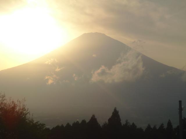 DSC04315.jpg