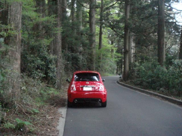 DSC04326.jpg
