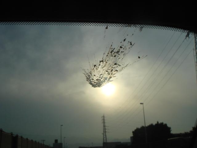 DSC04350.jpg