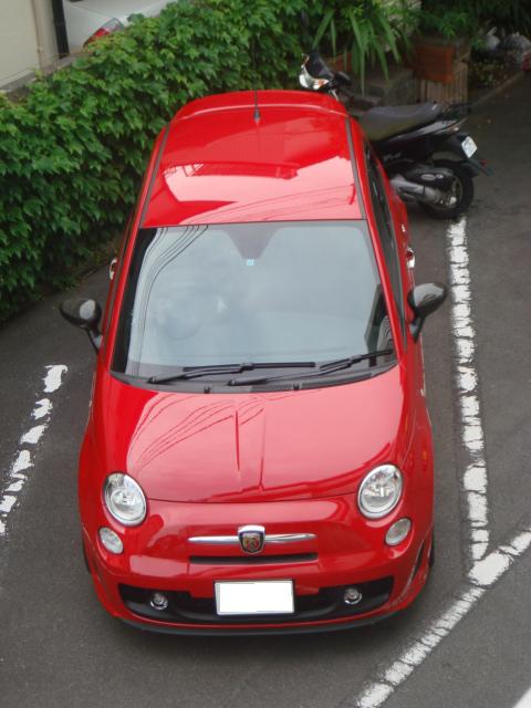 DSC04377.jpg