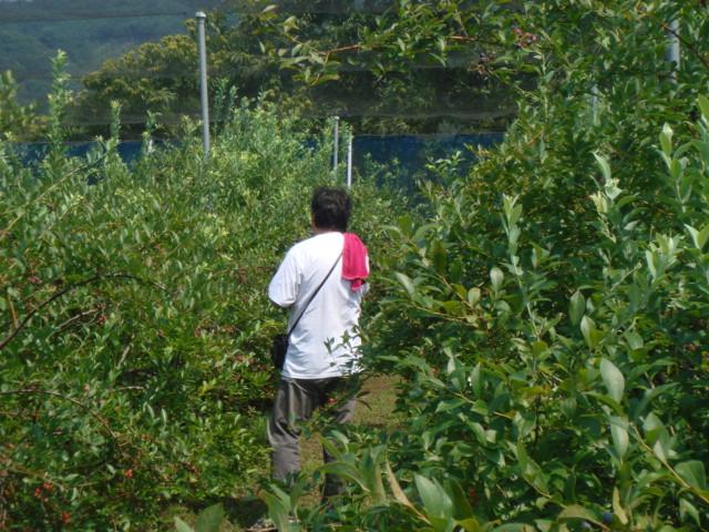DSC04450.jpg