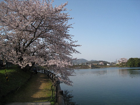 IMG_1418_2.jpg