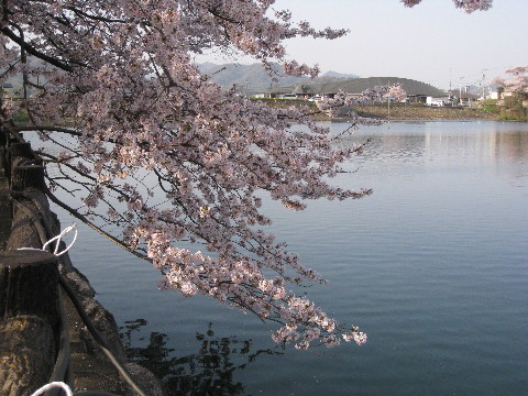 IMG_1419_2.jpg