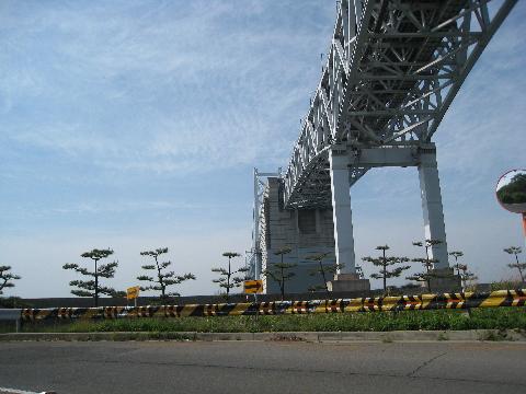 IMG_1445_2.jpg
