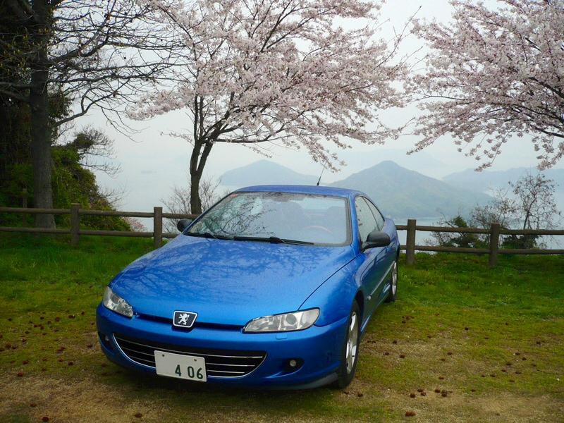 2014coupesakura5.jpg