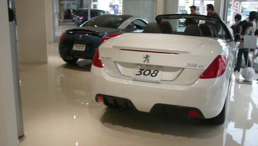 308cc_rcz.jpg