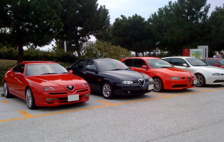 alfaalfa1.jpg