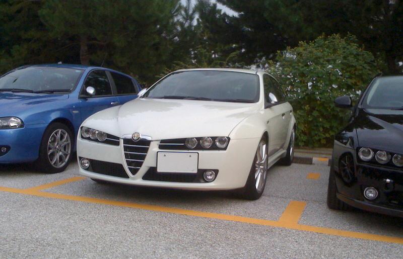alfaalfa7.jpg
