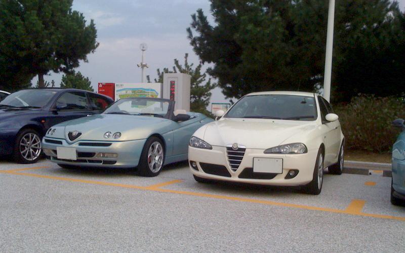 alfaalfa8.jpg