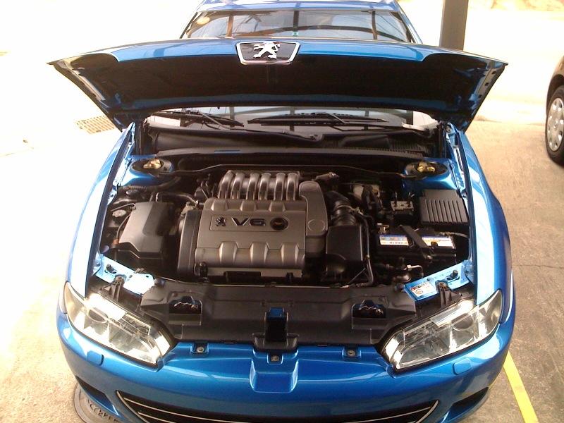 bonnet1.jpg