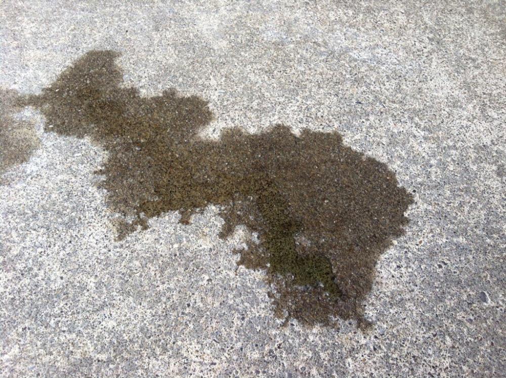 coolant1.jpg