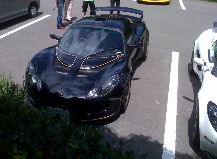 elise6.jpg