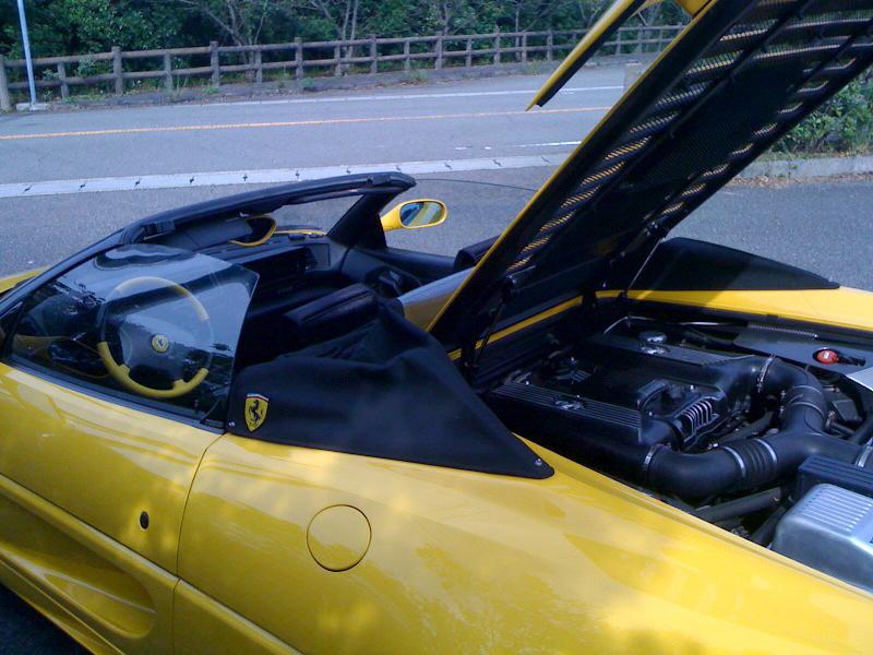 f355_2.jpg