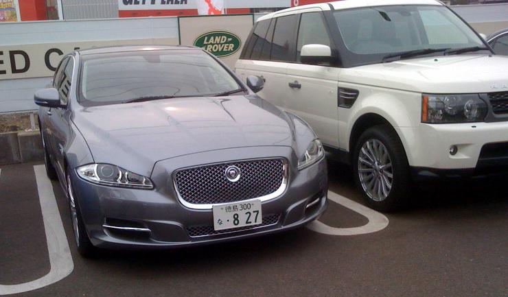 jaguar1.jpg