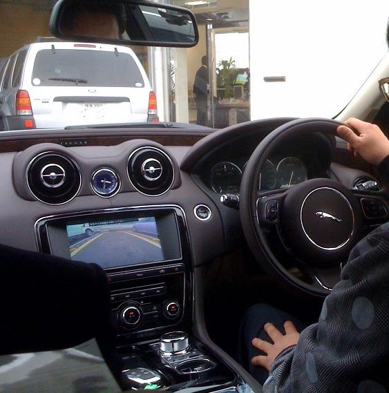 jaguar3.jpg