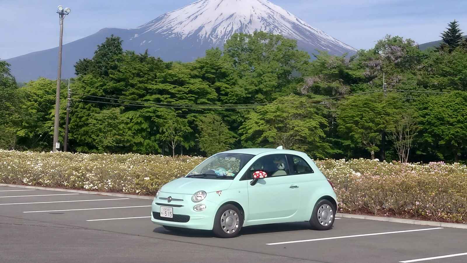 ミントちゃん