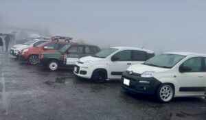 IMG_2551-300x175.jpeg