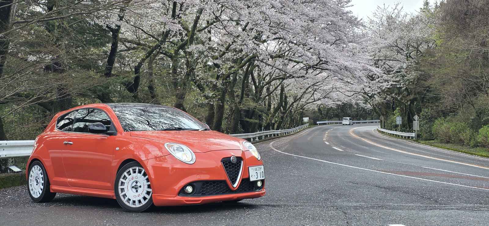 MiTo