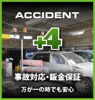 plus4.jpg