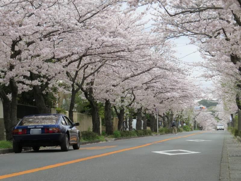 4月.jpg