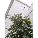 DSC09043.JPG
