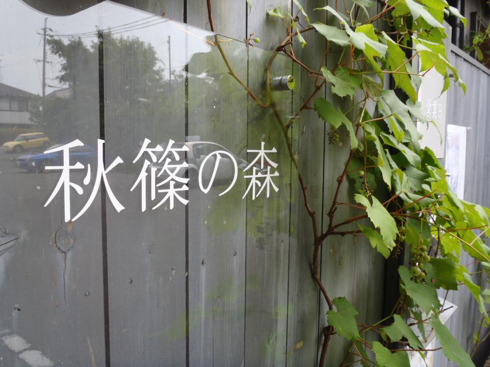 秋篠の森