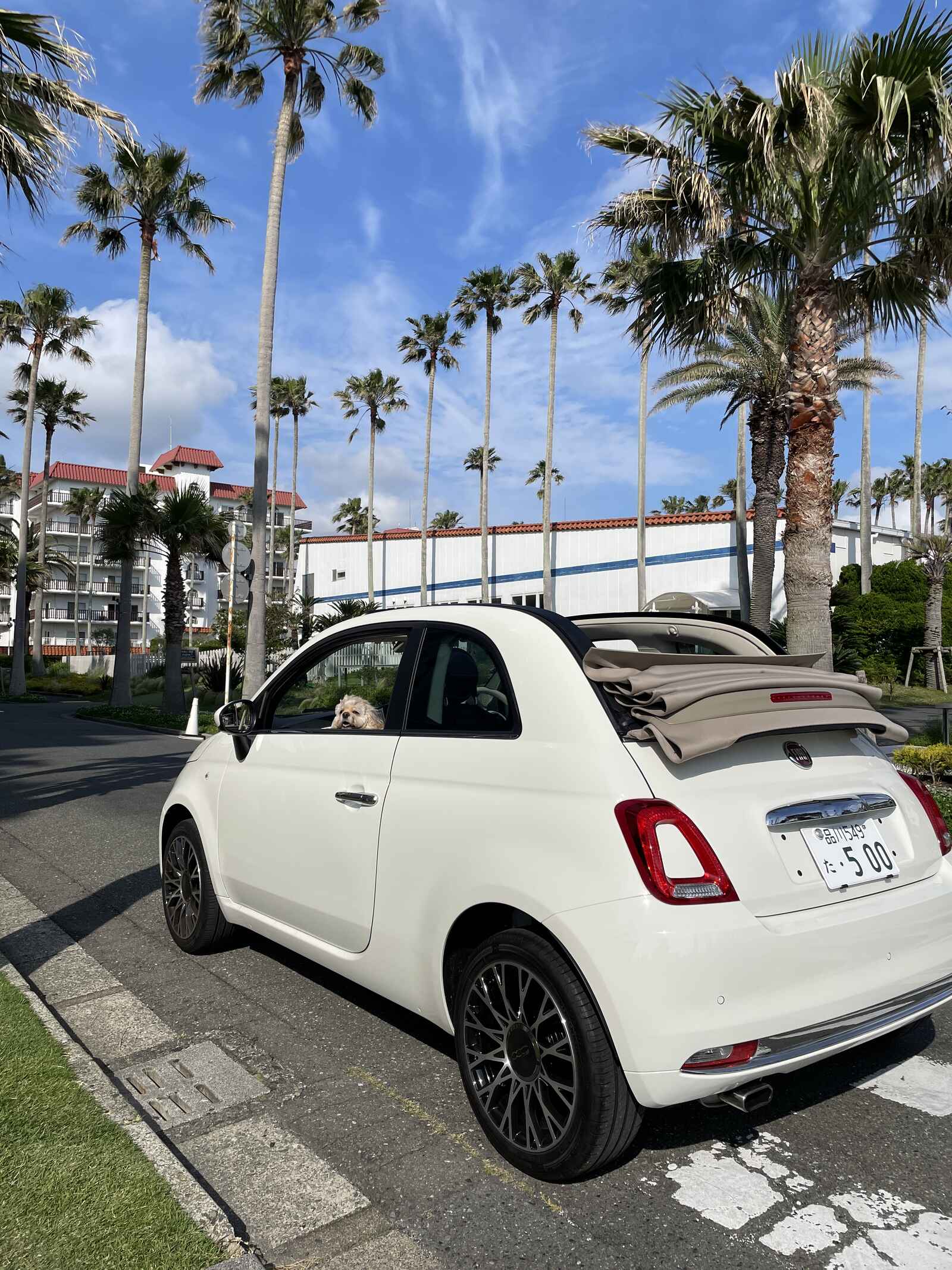 Teana_500C