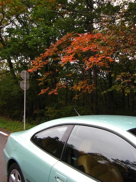20131003_5037.jpg