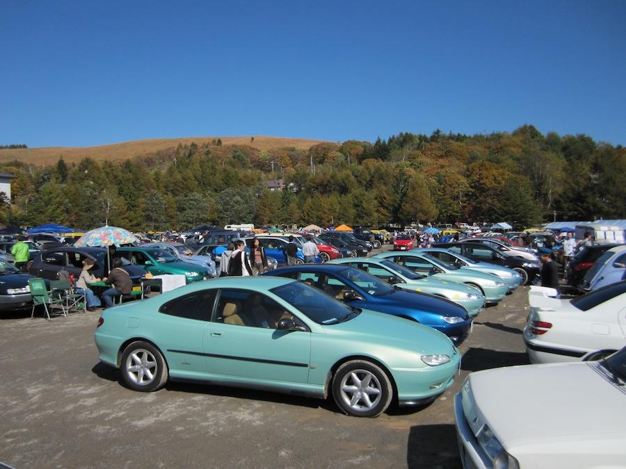 IMG_1956.jpg