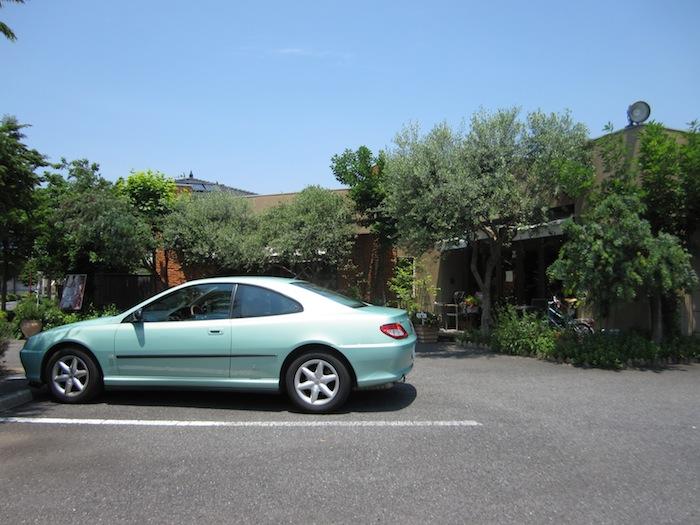 IMG_2634.jpg