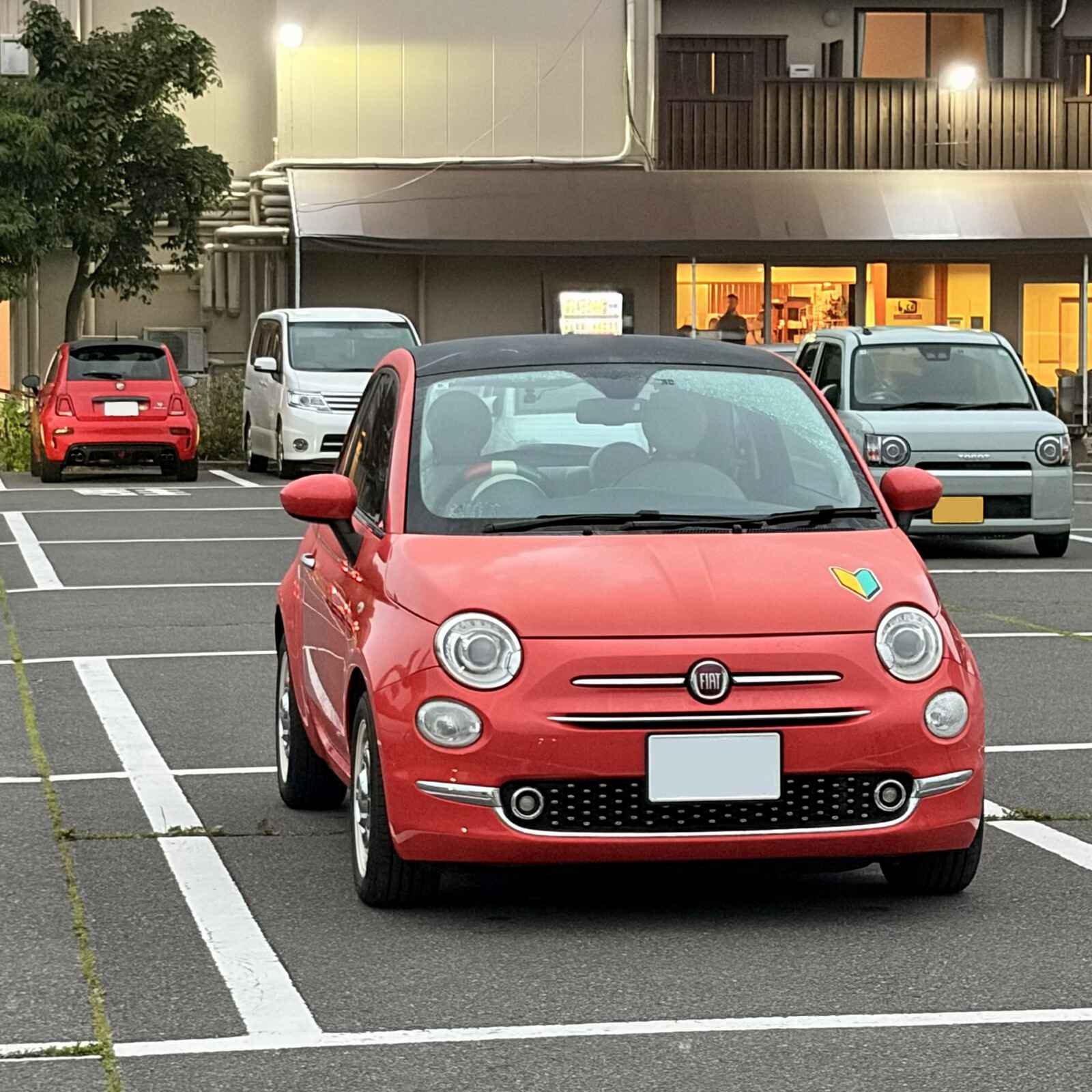 コラーロ君
