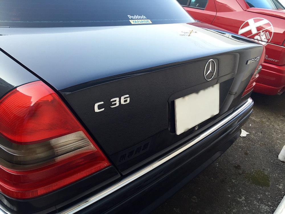 C36back.jpg