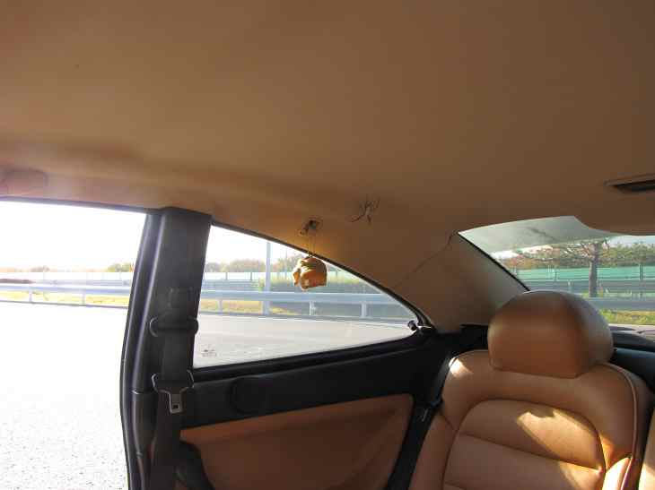 2012spider01.jpg