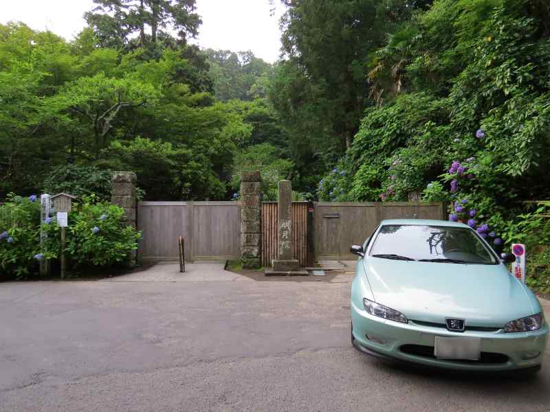 ajisai033.jpg