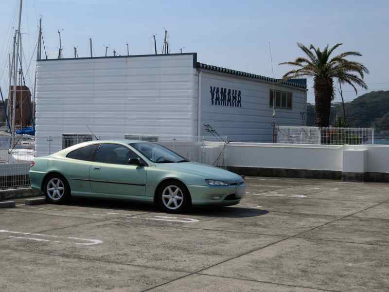 hayamasx50hs001.jpg