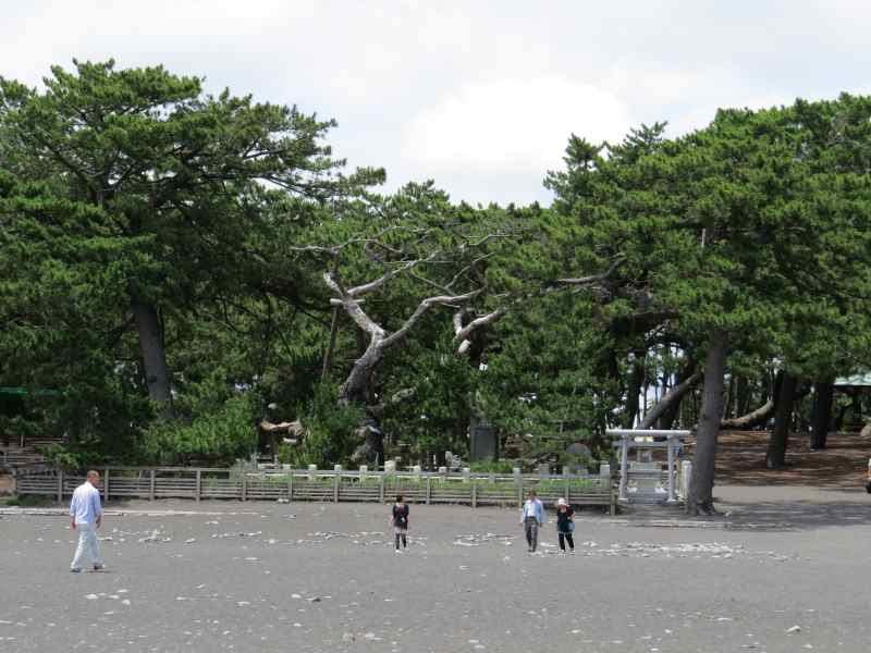 mihonomatubara05.jpg