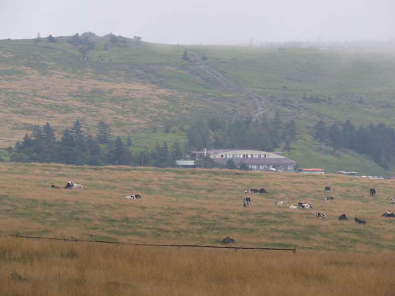 ougatou2 20230818.jpg