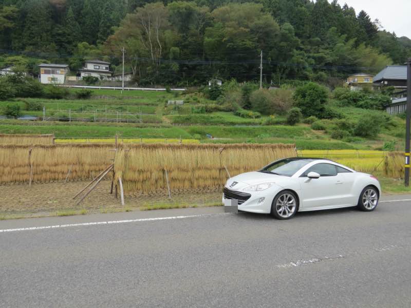 rcz hazakake kome 20231008.jpg