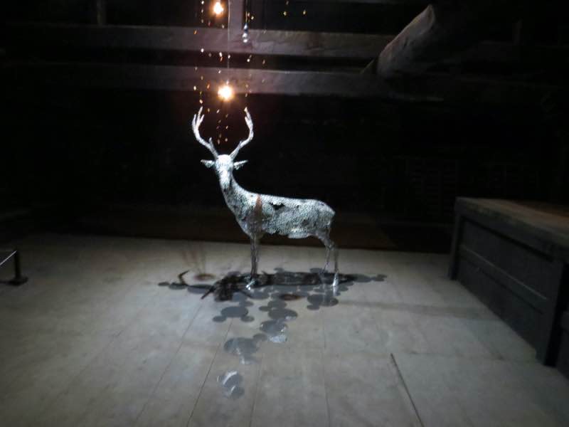sika1 20230927.jpg