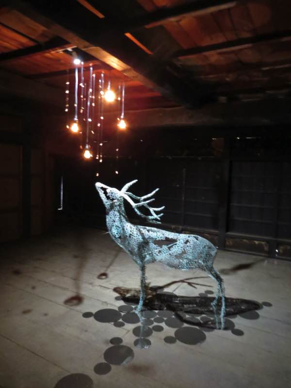 sika2 20230927.jpg