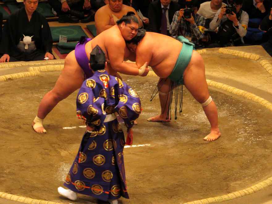 sumou06.jpg