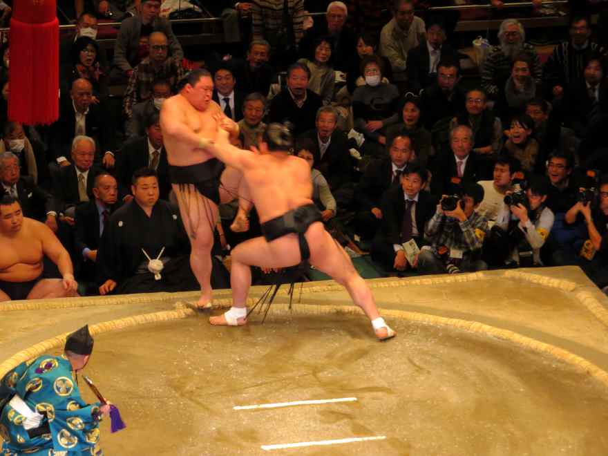 sumou08.jpg