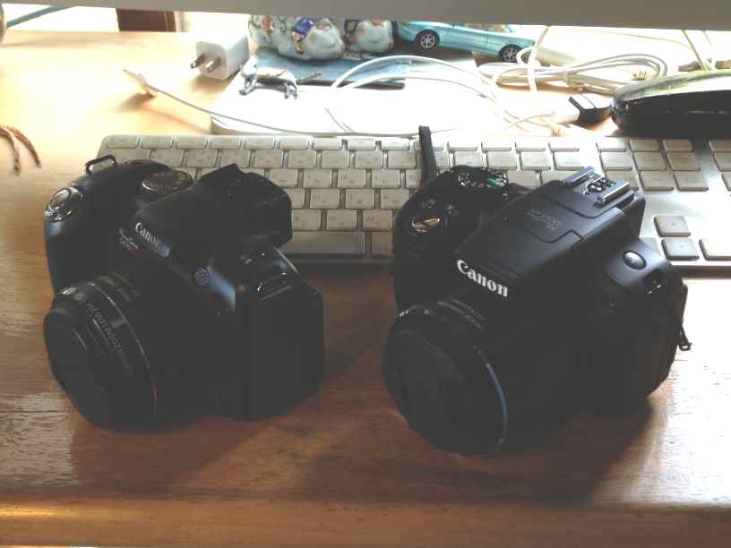 sx50HS01.jpg