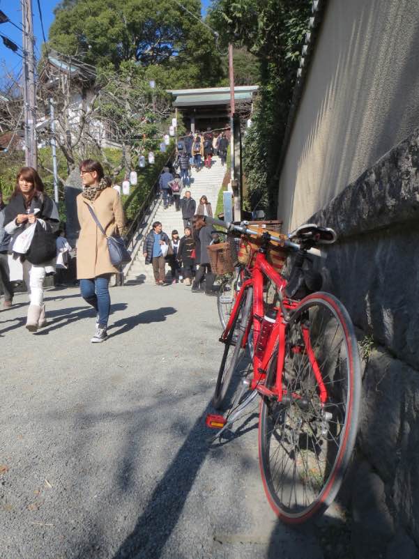 toukaebisu006.jpg