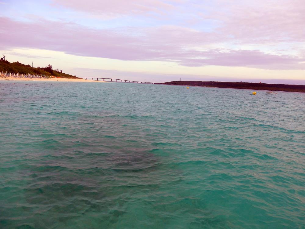 P5240844p.jpg