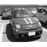 DSCN1293.jpg