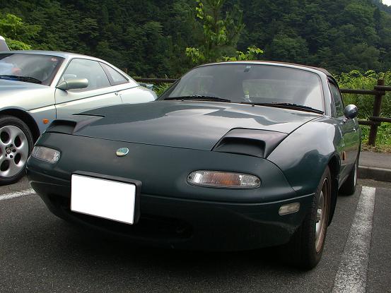IMGP8287.jpg